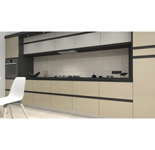 Cuisine moderne avec placards intégrés, cuisinière et plan de travail