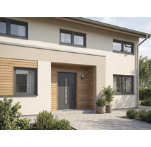 Hausfassade mit Haustür, Fenstern und Aussenbereich