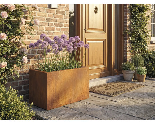 Szene mit einem rechteckigen Pflanzgefäß aus Metall und lila Zierlauch vor einer Haustür.