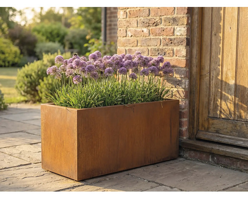 Rechteckiger Pflanzkasten aus Metall mit Allium-Pflanzen im Garten.