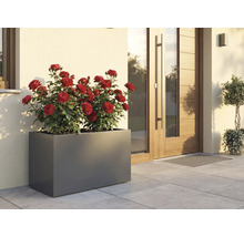 Jardinière rectangulaire avec des roses rouges devant une maison