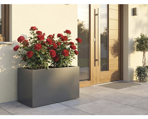 Jardinière rectangulaire avec des roses rouges devant une maison