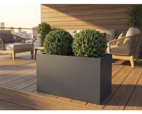 Rechteckiger Pflanzkasten mit zwei Buchskugeln auf einer Terrasse