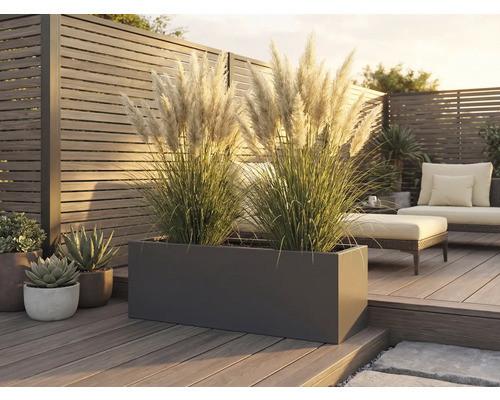 Jardinière rectangulaire avec des graminées ornementales sur une terrasse en bois