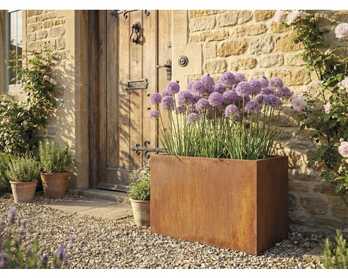 Scène avec un bac à fleurs en acier contenant des fleurs violettes, devant une porte d'entrée en bois.