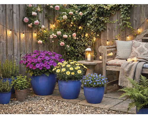 Espace de jardin décoratif avec mobilier de jardin, plantes et éclairage