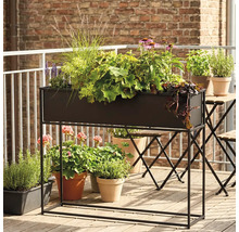 Plantation décorative dans une jardinière avec cadre sur un balcon