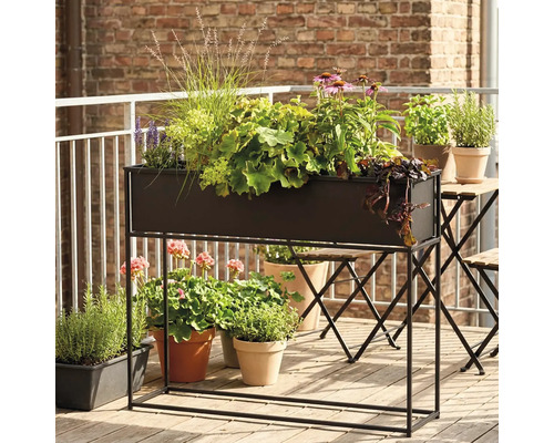 Plantation décorative dans une jardinière avec cadre sur un balcon