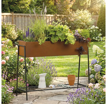 Jardinière surélevée en métal avec plantes dans le jardin.