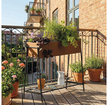 Scène de balcon avec jardinière surélevée plantée, fleurs et arrosoir sur un sol en bois.