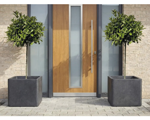 Arbres feuillus décoratifs dans des bacs à plantes carrés devant une porte d'entrée