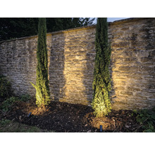 Szene mit zwei Säulenzypressen vor einer Steinmauer und Gartenbeleuchtung