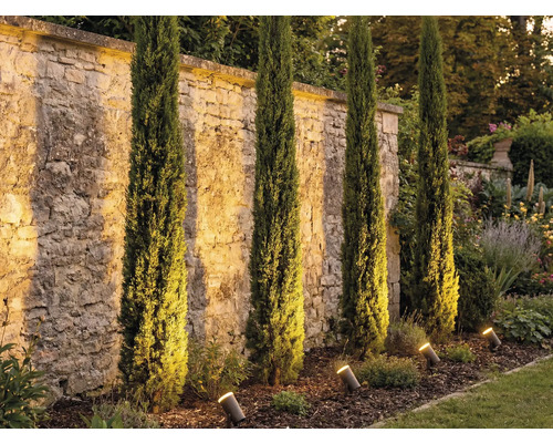 Garten mit italienischen Zypressen und Gartenstrahler zur Beleuchtung einer Steinmauer