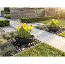 Scène de jardin avec pavés, fleurs et décoration