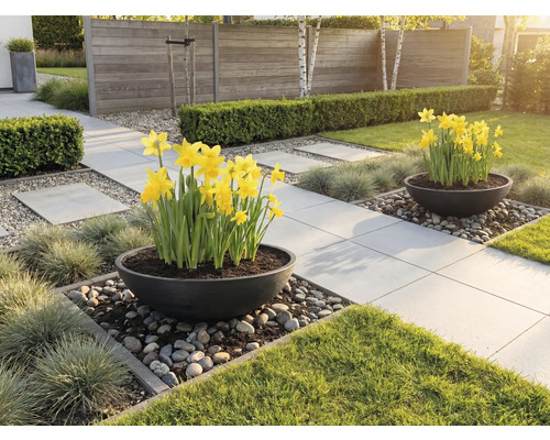 Scène de jardin avec pavés, fleurs et décoration