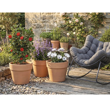 Ambiance de jardin avec des plantes en pots de terre cuite et un fauteuil confortable