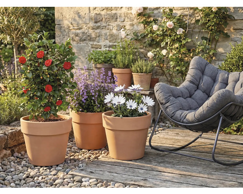 Ambiance de jardin avec des plantes en pots de terre cuite et un fauteuil confortable