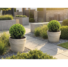 Jardin aménagé avec bacs à plantes et dalles de trottoir