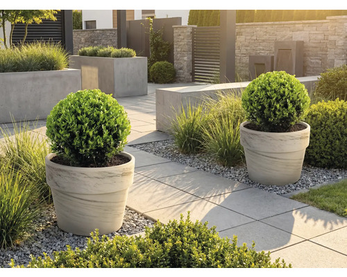 Jardin aménagé avec bacs à plantes et dalles de trottoir