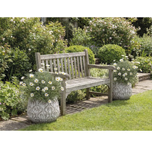 Banc en bois dans le jardin avec des fleurs dans des pots décoratifs.