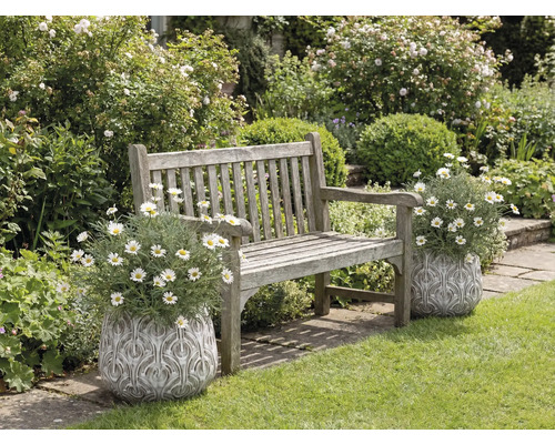 Banc en bois dans le jardin avec des fleurs dans des pots décoratifs.