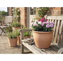 Pot en terre cuite avec œillets sur un banc en bois dans le jardin.