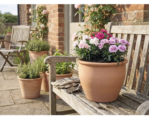 Pot en terre cuite avec œillets sur un banc en bois dans le jardin.