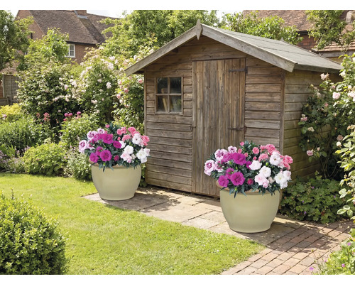 Scène de jardin avec abri de jardin en bois et deux pots de fleurs plantés