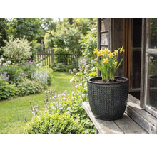 Narcisses jaunes dans un pot texturé sur une planche en bois devant un paysage de jardin