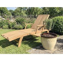 Chaise longue de jardin en bois à côté d'un pot avec une plante dans le jardin