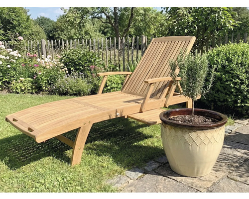Chaise longue de jardin en bois à côté d'un pot avec une plante dans le jardin