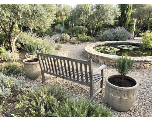 Scène de jardin avec banc en bois, pots de fleurs et bassin