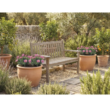 Espace jardin avec banc en bois et pots de fleurs