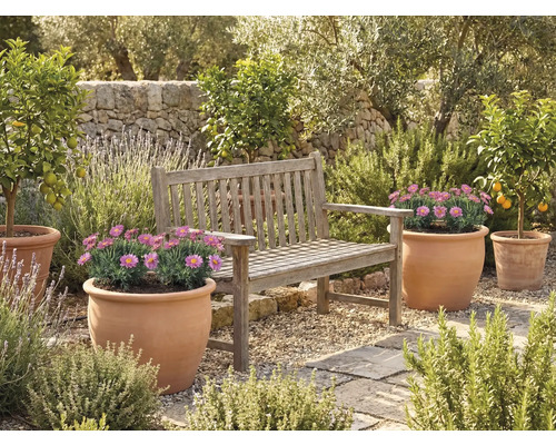Espace jardin avec banc en bois et pots de fleurs