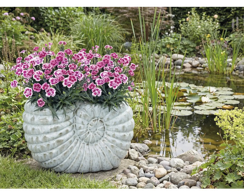 Gartenszene mit Teich und bepflanztem Pflanzgefäß in Schneckenform