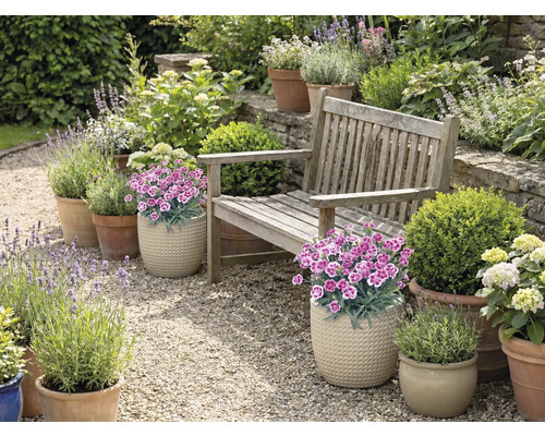 Jardin avec banc en bois, fleurs et plantes en pots