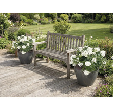 Scène de jardin avec banc en bois et pots de fleurs sur une terrasse en bois