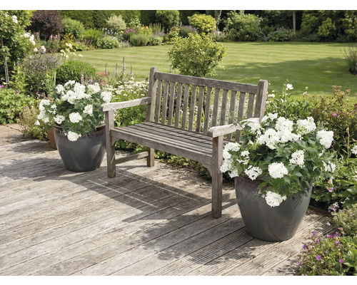 Scène de jardin avec banc en bois et pots de fleurs sur une terrasse en bois