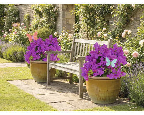 Aménagement paysager de jardin avec banc, pots de fleurs et plantes bougainvilliers en fleurs