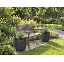 Aménagement de jardin avec banc en bois et plantes dans des bacs structurés