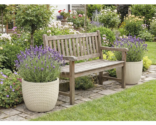 Jardin avec banc en bois et lavande dans des pots