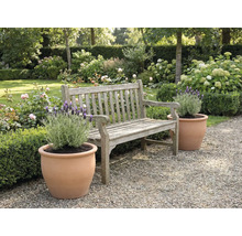 Aménagement paysager de jardin avec banc en bois et pots de fleurs avec lavande
