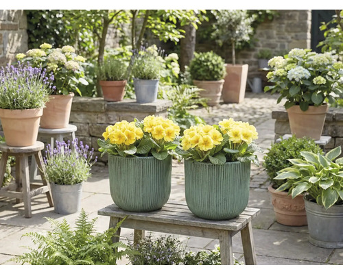 Scène de jardin décorative avec des fleurs jaunes dans des jardinières