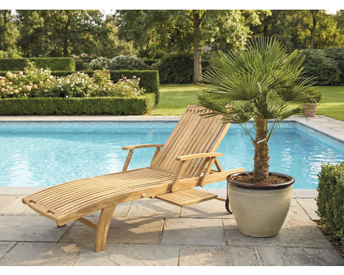 Chaise longue en bois à côté d'une piscine et d'un palmier en pot