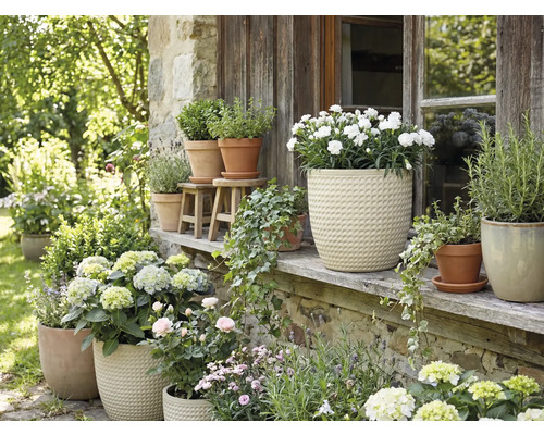 Blumenarrangement mit Topfpflanzen im Aussenbereich