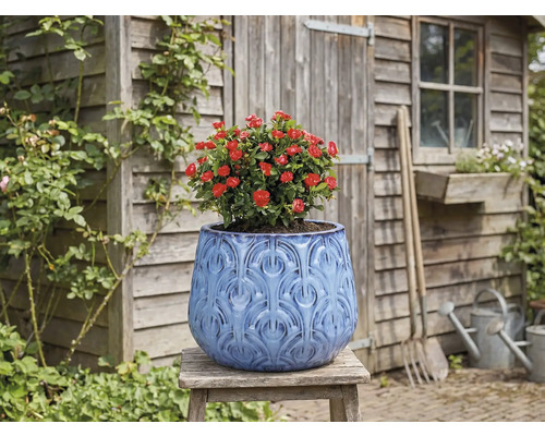 Pot de fleurs décoratif avec rose rouge sur un tabouret en bois devant une cabane de jardin.