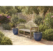 Banc de jardin en bois avec oliviers en pots dans un jardin lumineux