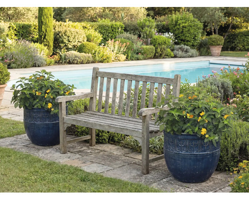 Scène de jardin avec banc en bois et pots de fleurs près d'une piscine