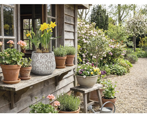 Jardin décoratif avec plantes en pot et fleurs sur une véranda en bois
