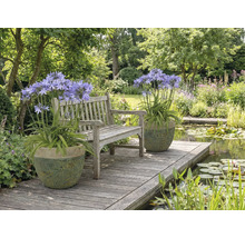 Scène de jardin avec banc, bassin et plantes en pot